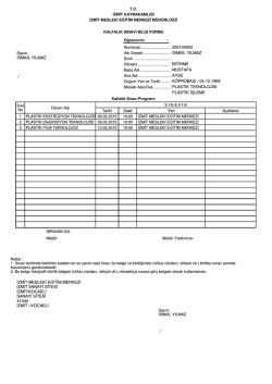 ActiveReports Document