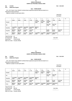 T.C. GÖNEN KAYMAKAMLIĞI SARIKÖY ÇOK PROGRAMLI