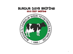 &Ouml;zet Brifing - 2015
