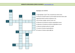 MIKNATIS KONUSUNDA &Ccedil;ENGEL BULMACA