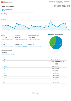 GOOGLE Analytics muhasebedr.com, Kitle
