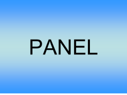 PANEL