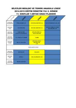 biliciler mesleki ve teknik anadolu lisesi 2014