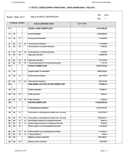 1.7 b&uuml;t&ccedil;e giderlerinin fonksiyonel sınıflandırılması tablosu