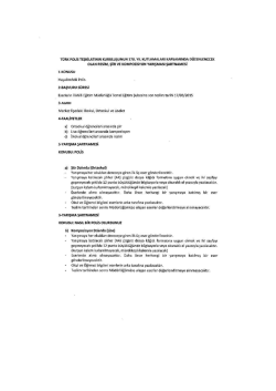 17 Mart 2015-RESİM-ŞİİR-KOMPOZİSYON