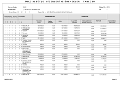 1.10 b&uuml;t&ccedil;e giderleri ve &ouml;denekler tablosu