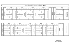 KİMYA M&Uuml;HENDİSLİĞİ TASARIMI II N.&Ouml; Ders Programı