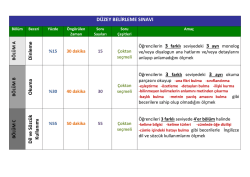 D&uuml;zey Belirleme Sınavı