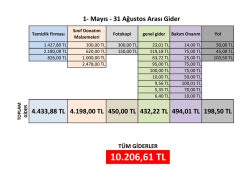 gider Tablosu.xlsx