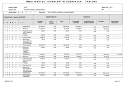 B&uuml;t&ccedil;e Giderleri ve &Ouml;denekleri Tablosu