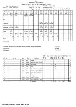 T.C. MURATPAŞA KAYMAKAMLIĞI BAHAEDDİN G&Uuml;NEY MESLEKİ