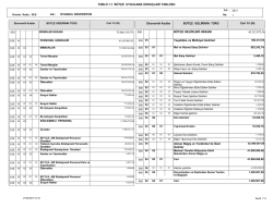 B&uuml;t&ccedil;e Uygulama Sonu&ccedil;ları Tablosu