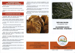 İNCİR KANLI BALSIRA Ceropiastes rusci AFLATOKSİNSİZ