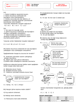 ışık ve ses - Kartanelerim.com