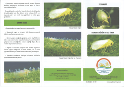 YEŞİLKURT PAMUKTA TUTUN BEYAZ SİNEK LIK BAKANLIĞI