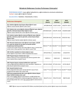 2013 yılı performans g&ouml;stergeleri