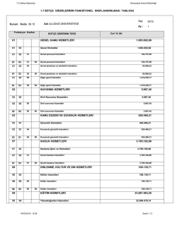 1.7 b&uuml;t&ccedil;e giderlerinin fonksiyonel sınıflandırılması tablosu 01 02 03