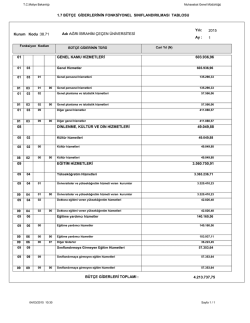1.7 b&uuml;t&ccedil;e giderlerinin fonksiyonel sınıflandırılması tablosu 01 08 09