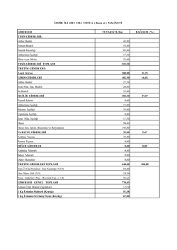 GİDERLER TUTARI (TL/Da) DAĞILIM ( % ) G&uuml;bre Bedeli 45,00