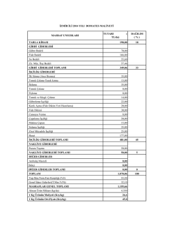 TARLA KİRASI 190,00 18 GİRDİ GİDERLERİ G&uuml;bre Bedeli 70,00