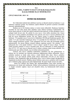 kivide kış budaması