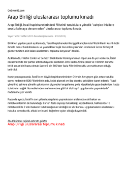 Arap Birliği uluslararası toplumu kınadı