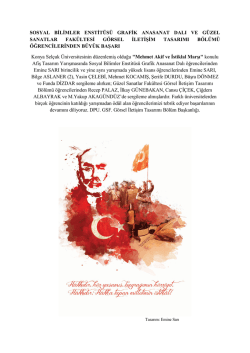 sosyal bilimler enstit&uuml;s&uuml; grafik anasanat dalı ve g&uuml;zel sanatlar