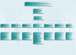 Daire Başkanlığı Organizasyon Şeması