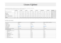 Lisans Eğitimi