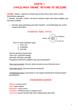 6_SINIF_1_UNITE_ders_notu