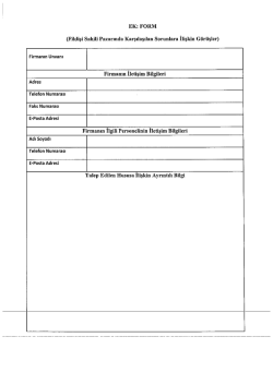 Sorun Bildirim Formu (1 sayfa)