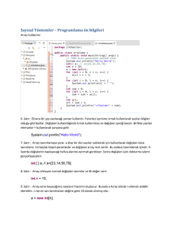 Sayısal Y&ouml;ntemler - Programlama &ouml;n bilgileri