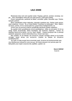 dikte pdf metni