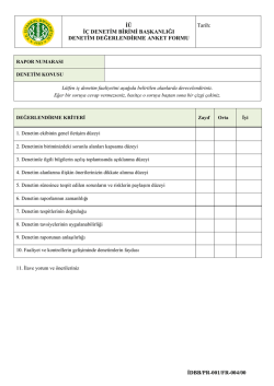 Denetim Değerlendirme Anket Formu