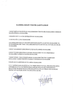 İhale ile ilgili dosyayı indirmek i&ccedil;in tıklayınız