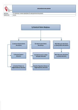 İ&ccedil; Kontrol Daire Başkanı