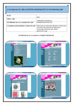 Hepimizin Web Sitesi Var Projesi - &Ccedil;anakkale İl Milli Eğitim M&uuml;d&uuml;rl&uuml;ğ&uuml;