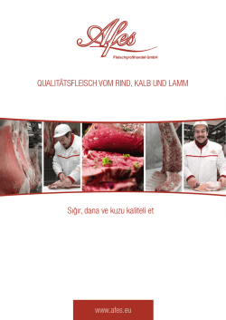 Portfolio - Afes GmbH Gro&szlig;