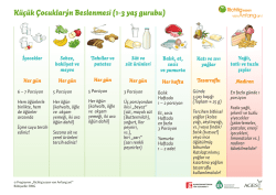 K&uuml;&ccedil;&uuml;k &Ccedil;ocukların Beslenmesi (1