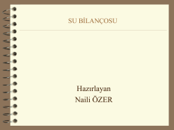Su Bilan&ccedil;osu