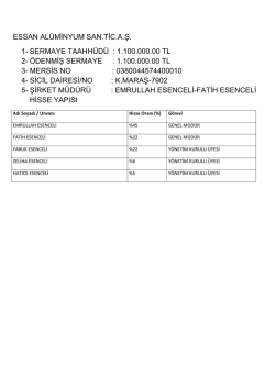 ESSAN AL&Uuml;MİNYUM SAN.TİC.A.Ş. 1