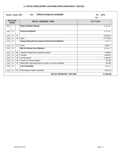 B&uuml;t&ccedil;e Giderlerinin Ekonomik Sınıflandırılması