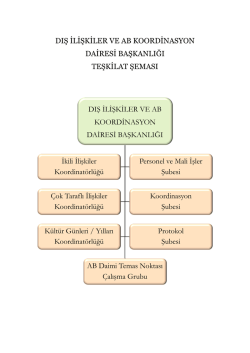 dış ilişkiler ve ab koordinasyon dairesi başkanlığı teşkilat şeması dış
