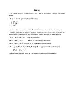&Ouml;DEV#1