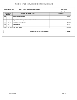 B&uuml;t&ccedil;e Gelirlerinin Ekonomik Sınıflandırılması