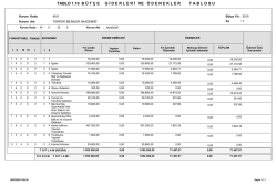 B&uuml;t&ccedil;e Giderleri ve &Ouml;denekler