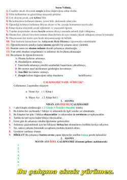 Okuduğunu Anlama &Ccedil;alışmamız