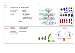 Eşeysiz &uuml;reme &ccedil;eşitleri Anlamı &Ouml;rnek canlılar Şekil 1-İkiye