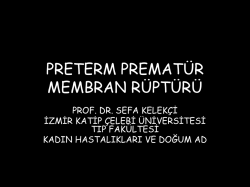 Prof. Dr. Sefa Kelek&ccedil;i