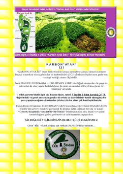 karbon * ay ak * i z i